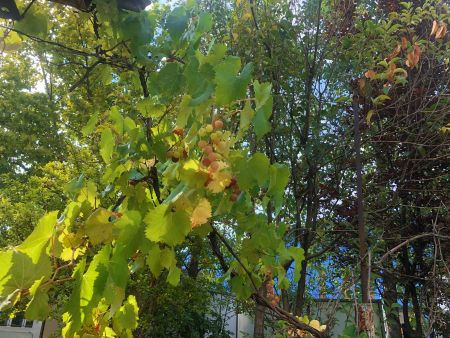 微信图片_20250707110057