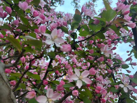 微信图片_20260401162953