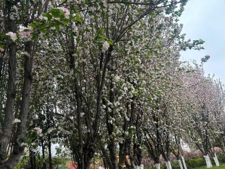 微信图片_20260401164725