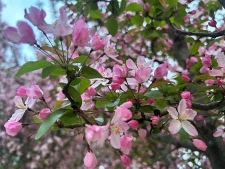 微信图片_20260401163004