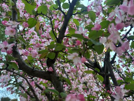 微信图片_20260401163012