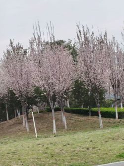 37562ddaee227a7479de1e35d194d0db