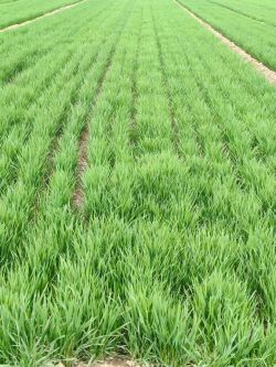 c9b709d6a11f211c804195463524b704