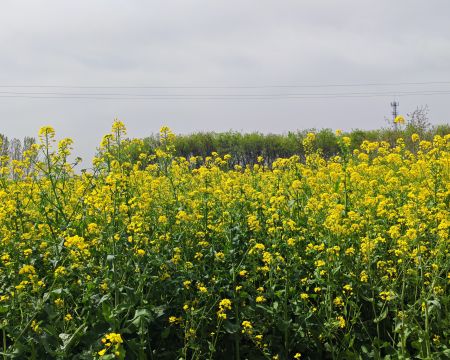 2b9cc141f8e54076e60b182bad10a204