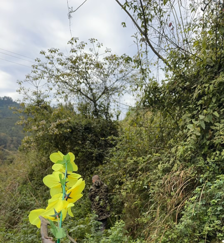 3eb77e101762c5f2826b61eced0c89da