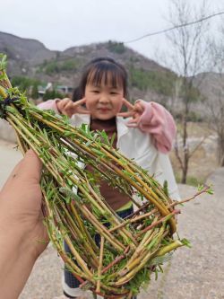 7e47fad6a5d212945af3aea0da7806f1