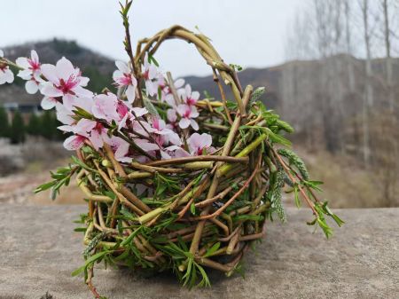 8d1fafe90965440d94365c144a21683a